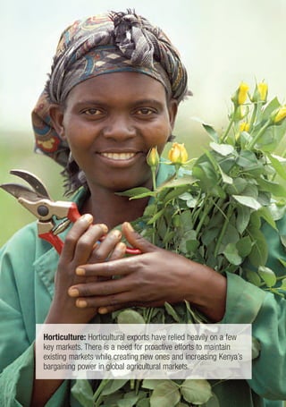 Horticulture: Horticultural exports have relied heavily on a few
key markets. There is a need for proactive efforts to maintain
existing markets while creating new ones and increasing Kenya’s
bargaining power in global agricultural markets.
 