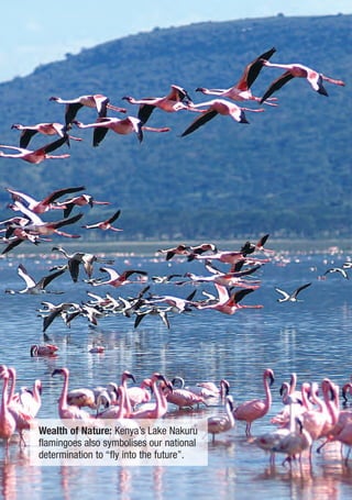 Wealth of Nature: Kenya’s Lake Nakuru
flamingoes also symbolises our national
determination to “fly into the future”.
 