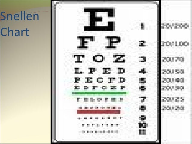 Kepala wajah dan leher