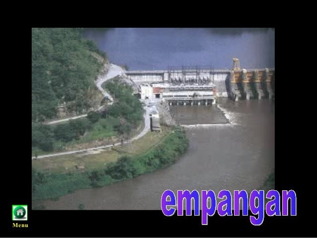 Kepentingan Hutan Ting 1