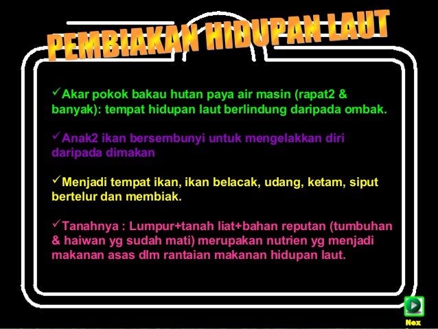 Kepentingan hutan ting 1