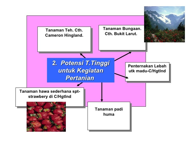 Kepentingan Kawasan Tanah Tinggi Di Malaysia