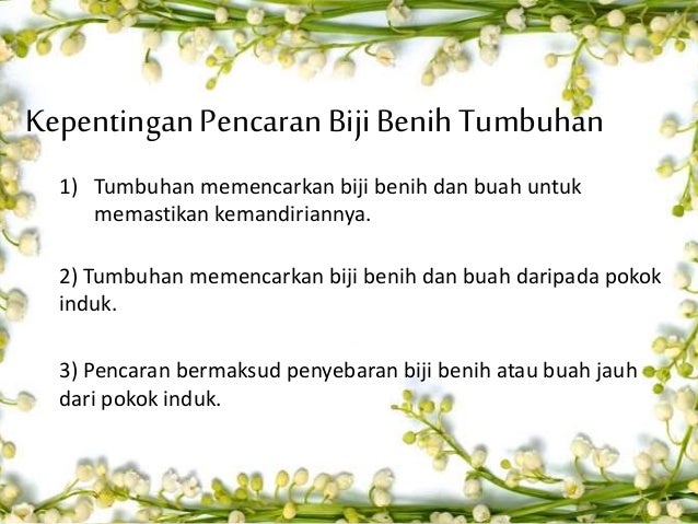 Kepentingan Proses Pencaran