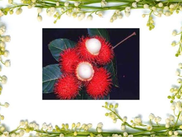 Kepentingan Proses Pencaran