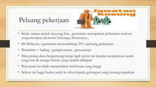 Peluang pekerjaan
• Sejak zaman nenek moyang kita , pertanian merupakan pekerjaan warisan
yang menjana ekonomi keluarga, khususnya .
• Di Malaysia, s.petanian menyumbang 50% peluang pekerjaan .
• Pertanian = lading , pemprosesan , pemasaran
• Masyarakat desa bergantung harap kpd sector ini kerana mempunyai tanah
yang luas & tenaga buruh yang mudah didapati
• Pekerjaan ini tidak memerlukan kelulusan yang tinggi
• Sektor ini bagai bulan jatuh ke riba kepada golongan yang kurang terpelajar
 