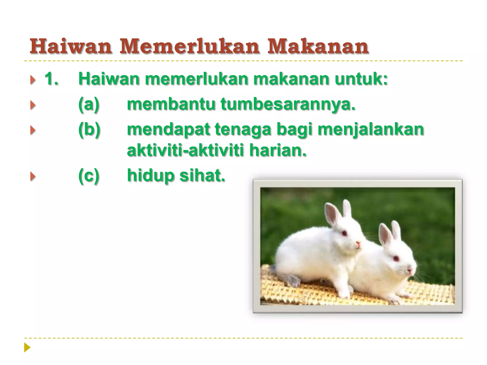 Haiwan Memerlukan Makanan
   1.   Haiwan memerlukan makanan untuk:
        (a)  membantu tumbesarannya.
        (b) mendapat tenaga bagi menjalankan
              aktiviti-aktiviti harian.
        (c)  hidup sihat.
 