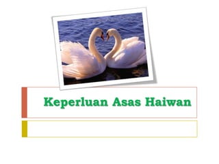 Keperluan Asas Haiwan
 