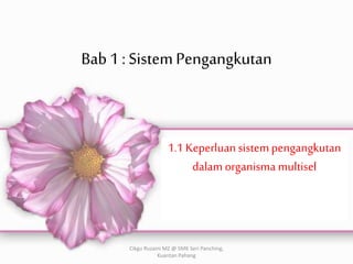 Bab1 : SistemPengangkutan
1.1 Keperluansistempengangkutan
dalam organisma multisel
Cikgu Ruzaini MZ @ SMK Seri Panching,
Kuantan Pahang
 