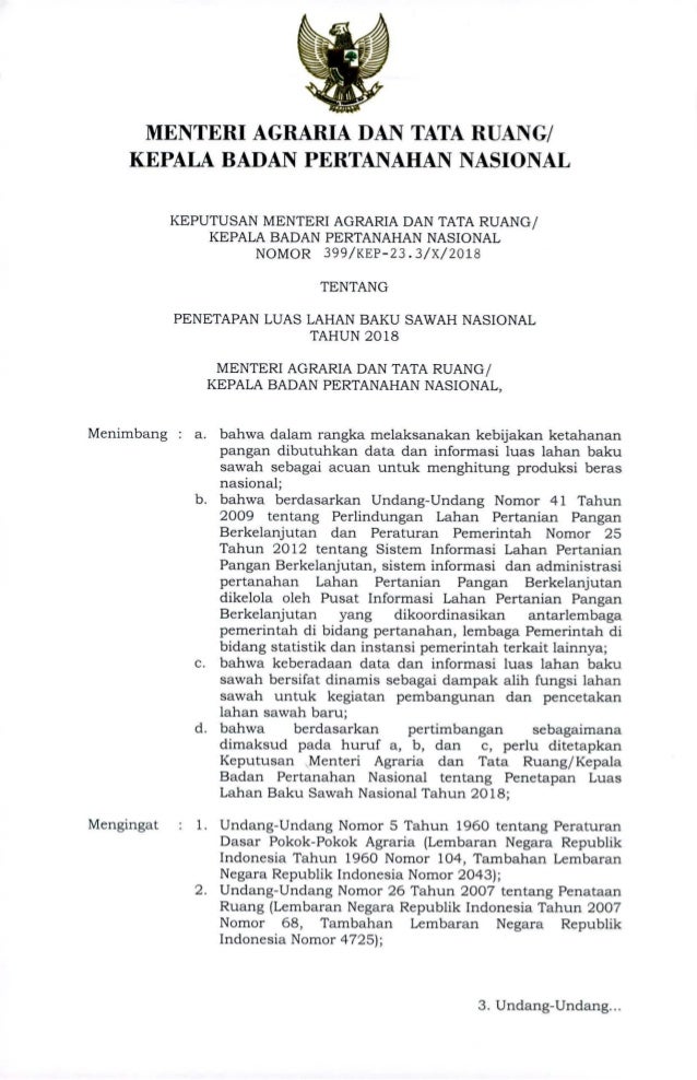 Kepmen Atr 339 Penetapan Luas Lahan Baku Sawah