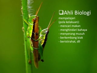 Ahli Biologi
mempelajari
(pola kelakuan):
- mencari makan
- menghindari bahaya
- menyerang musuh
- berkembang biak
- beristirahat, dll

 