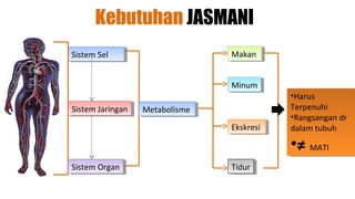 Kebutuhan JASMANI
Sistem Sel
 Sistem Sel                      Makan
                                 Makan


                                 Minum
                                 Minum
                                             ••Harus
                                              Harus
Sistem Jaringan
 Sistem Jaringan   Metabolisme
                   Metabolisme               Terpenuhi
                                              Terpenuhi
                                             ••Rangsangandr
                                              Rangsangan dr
                                 Ekskresi
                                  Ekskresi   dalam tubuh
                                              dalam tubuh
                                             ••≠ MATI
                                               ≠ MATI
Sistem Organ
 Sistem Organ                    Tidur
                                  Tidur
 
