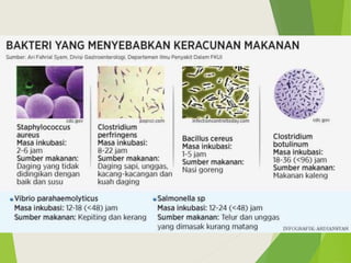 Cara Membedakan Keracunan Makanan dan Gangguan Pencernaan Biasa: Panduan Lengkap untuk Pemula