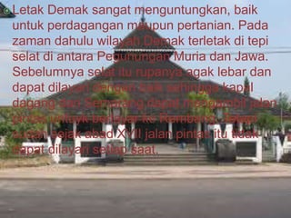 Letak Demak sangat menguntungkan, baik
untuk perdagangan maupun pertanian. Pada
zaman dahulu wilayah Demak terletak di tepi
selat di antara Pegunungan Muria dan Jawa.
Sebelumnya selat itu rupanya agak lebar dan
dapat dilayari dengan baik sehingga kapal
dagang dari Semarang dapat mengambil jalan
pintas untuyk berlayar ke Rembang. Tetapi
sudah sejak abad XVII jalan pintas itu tidak
dapat dilayari setiap saat.
 