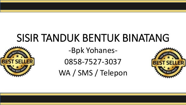 kerajinan sisir tanduk harga sisir tanduk beli sisir kerajinan sisir tanduk harga sisir tanduk beli sisir