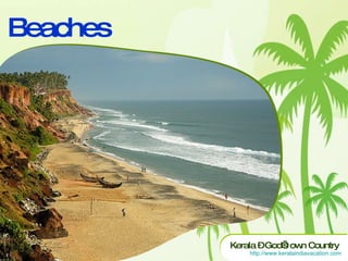 Beaches 