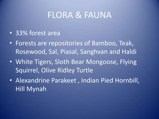 FLORA & FAUNA
• 33% forest area
• Forests are repositories of Bamboo, Teak,
Rosewood, Sal, Piasal, Sanghvan and Haldi
• White Tigers, Sloth Bear Mongoose, Flying
Squirrel, Olive Ridley Turtle
• Alexandrine Parakeet , Indian Pied Hornbill,
Hill Mynah
 