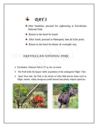 DAY 3
After breakfast, proceed for sightseeing at Eravikulam
National Park.
Return to the hotel for lunch.
After lunch, proceed to Mattupetty dam & Echo point.
Return to the hotel for dinner & overnight stay.
ERAVIKULAM NATIONAL PARK
 Eravikulam National Park is 97 sq. km. in extent.
 The Park holds the largest viable population of the endangered Nilgiri Tahr.
 Apart from tahr, the Park is the abode of other little known fauna such as
Nilgiri marten, ruddy mongoose,small clawed otter,dusky striped sqirrel etc.
 