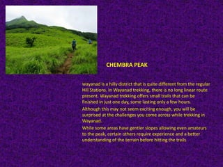 CHEMBRA PEAK
Wayanad is a hilly district that is quite different from the regular
Hill Stations. In Wayanad trekking, there is no long linear route
present. Wayanad trekking offers small trails that can be
finished in just one day, some lasting only a few hours.
Although this may not seem exciting enough, you will be
surprised at the challenges you come across while trekking in
Wayanad.
While some areas have gentler slopes allowing even amateurs
to the peak, certain others require experience and a better
understanding of the terrain before hitting the trails
 