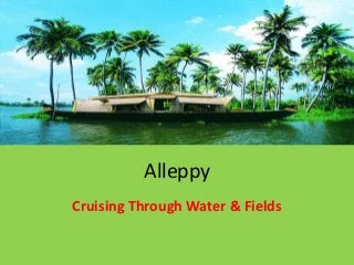 Alleppy
Cruising Through Water & Fields
 