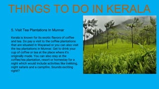 5. Visit Tea Plantations In Munnar
Kerala is known for its exotic flavors of coffee
and tea. Do pay a visit to the coffee plantations
that are situated in Wayanad or you can also visit
the tea plantations in Munnar. Get to drink your
cup of coffee or tea at the place where it’s
originally made. You can also stay at the
coffee/tea plantation, resort or homestay for a
night which would include activities like trekking,
night safaris and a campfire. Sounds exciting
right!?
 