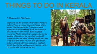 6. Ride on the Elephants
Elephants are the animals which define Kerala’s
culture. There are many places in Kerala which
let you ride the elephants. They are of great
significance and Thekkady is the most famous
area where you can ride on these majestic
creatures. What’s better than enjoying the lovely
weather of Kerala on the top of an elephant?
These animals are super friendly and all you have
to do is sit and relax. You can also get tons of
pictures clicked with your respective elephant.
Watch them bathe and later on scrub them with
coconuts! (add on the bucket list)
 