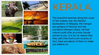 The beautiful beaches along the coast
of the Arabian sea, the blissful
backwaters of Alleppey, the tranquil
tea gardens of Munnar and the
wonderful Western Ghats. All that
nature could offer at a time, Kerala
serves to you. It is for no reason that
they call it the God’s own country, in
fact, there are plenty of them to make
you believe so.
 