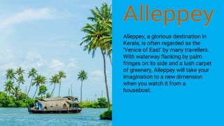 Alleppey, a glorious destination in
Kerala, is often regarded as the
‘Venice of East’ by many travellers.
With waterway flanking by palm
fringes on its side and a lush carpet
of greenery, Alleppey will take your
imagination to a new dimension
when you watch it from a
houseboat.
 