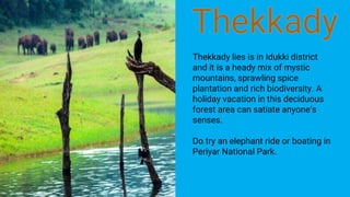 Thekkady lies is in Idukki district
and it is a heady mix of mystic
mountains, sprawling spice
plantation and rich biodiversity. A
holiday vacation in this deciduous
forest area can satiate anyone’s
senses.
Do try an elephant ride or boating in
Periyar National Park.
 