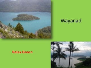Wayanad
Relax Green
 