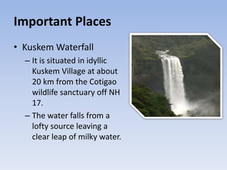 Important Places
• Kuskem Waterfall
– It is situated in idyllic
Kuskem Village at about
20 km from the Cotigao
wildlife sanctuary off NH
17.
– The water falls from a
lofty source leaving a
clear leap of milky water.
 