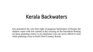 Kerala Backwaters
Get stunned at the very first sight of gorgeous backwaters of Kerala, the
shallow water with low current.A day cruising on the houseboat floating
on these gleaming waters is an experience you can never afford to miss
while planning a tour to God's Own Country, Kerala
 