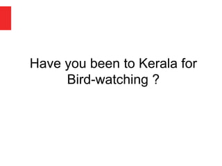 Kerala Bird Atlas
