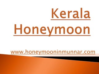 Kerala Honeymoon www.honeymooninmunnar.com 