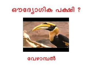 Bio-vision_Kerala quiz 2016