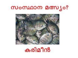 Bio-vision_Kerala quiz 2016