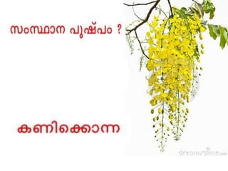 Bio-vision_Kerala quiz 2016