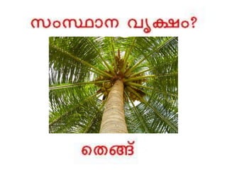 Bio-vision_Kerala quiz 2016