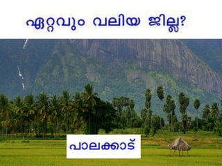 Bio-vision_Kerala quiz 2016