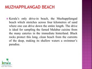  Kerala’s only drive-in beach, the Muzhappilangad
beach which stretches across four kilometres of sand
where one can drive down the entire length. The drive
is ideal for sampling the famed Malabar cuisine from
the many eateries in the immediate hinterland. Black
rocks protect this long, clean beach from the currents
of the deep, making its shallow waters a swimmer’s
paradise.
 