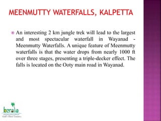  An interesting 2 km jungle trek will lead to the largest
and most spectacular waterfall in Wayanad -
Meenmutty Waterfalls. A unique feature of Meenmutty
waterfalls is that the water drops from nearly 1000 ft
over three stages, presenting a triple-decker effect. The
falls is located on the Ooty main road in Wayanad.
 