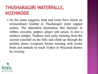 As the name suggests, land and water have struck an
extraordinary kinship at Thusharagiri (mist capped
peaks). The plantation destination that abounds in
rubber, arecanut, pepper, ginger and spices, is also a
trekkers delight. Trekkers start early morning from the
second waterfall on the hills and climb up through the
pristine dense evergreen forests teeming with exotic
birds and animals to reach Vythiri in Wayanad district
by evening.
 