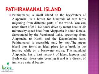  Pathiramanal, a small island on the backwaters of
Alappuzha, is a haven for hundreds of rare birds
migrating from different parts of the world. You can
reach there after 1 1/2 hours drive by motor boat or 30
minutes by speed boat from Alappuzha in south Kerala.
Surrounded by the Vembanad Lake, stretching from
Alappuzha to Kochi and the Kayamkulam lake,
Pathiramanal is accessible only by boat.The green
island thus forms an ideal place for a break in the
journey while on a backwater cruise. The mainland
Alappuzha has a vast network of lakes, lagoons and
fresh water rivers criss crossing it and is a district of
immense natural beauty.
 