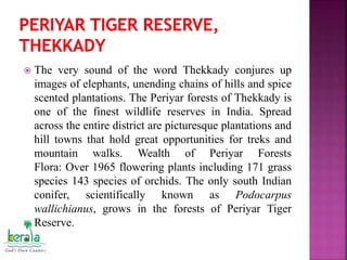  The very sound of the word Thekkady conjures up
images of elephants, unending chains of hills and spice
scented plantations. The Periyar forests of Thekkady is
one of the finest wildlife reserves in India. Spread
across the entire district are picturesque plantations and
hill towns that hold great opportunities for treks and
mountain walks. Wealth of Periyar Forests
Flora: Over 1965 flowering plants including 171 grass
species 143 species of orchids. The only south Indian
conifer, scientifically known as Podocarpus
wallichianus, grows in the forests of Periyar Tiger
Reserve.
 