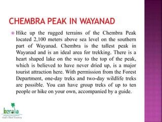  Hike up the rugged terrains of the Chembra Peak
located 2,100 meters above sea level on the southern
part of Wayanad. Chembra is the tallest peak in
Wayanad and is an ideal area for trekking. There is a
heart shaped lake on the way to the top of the peak,
which is believed to have never dried up, is a major
tourist attraction here. With permission from the Forest
Department, one-day treks and two-day wildlife treks
are possible. You can have group treks of up to ten
people or hike on your own, accompanied by a guide.
 