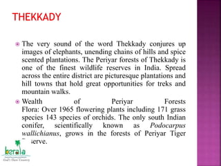  The very sound of the word Thekkady conjures up
images of elephants, unending chains of hills and spice
scented plantations. The Periyar forests of Thekkady is
one of the finest wildlife reserves in India. Spread
across the entire district are picturesque plantations and
hill towns that hold great opportunities for treks and
mountain walks.
 Wealth of Periyar Forests
Flora: Over 1965 flowering plants including 171 grass
species 143 species of orchids. The only south Indian
conifer, scientifically known as Podocarpus
wallichianus, grows in the forests of Periyar Tiger
Reserve.
 
