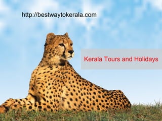 http://bestwaytokerala.com




                     Kerala Tours and Holidays
 