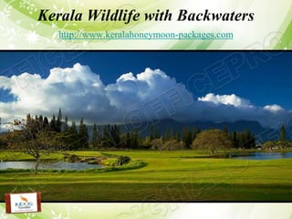 Kerala Wildlife with Backwaters
   http://www.keralahoneymoon-packages.com
 