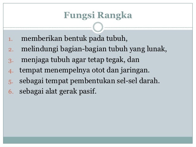 Kerangka tubuh manusia