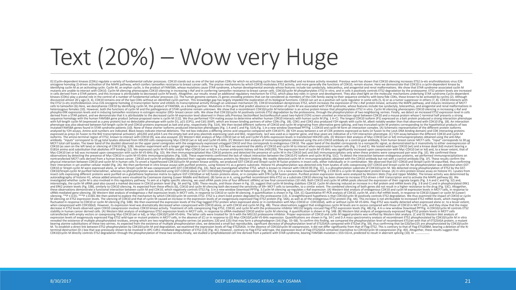 Text (20%) – Wow very Huge
0||Cyclin-dependent kinases (CDKs) regulate a variety of fundamental cellular processes. CDK10 stands out as one of the last orphan CDKs for which no activating cyclin has been identified and no kinase activity revealed. Previous work has shown that CDK10 silencing increases ETS2 (v-ets erythroblastosis virus E26
oncogene homolog 2)-driven activation of the MAPK pathway, which confers tamoxifen resistance to breast cancer cells. The precise mechanisms by which CDK10 modulates ETS2 activity, and more generally the functions of CDK10, remain elusive. Here we demonstrate that CDK10 is a cyclin-dependent kinase by
identifying cyclin M as an activating cyclin. Cyclin M, an orphan cyclin, is the product of FAM58A, whose mutations cause STAR syndrome, a human developmental anomaly whose features include toe syndactyly, telecanthus, and anogenital and renal malformations. We show that STAR syndrome-associated cyclin M
mutants are unable to interact with CDK10. Cyclin M silencing phenocopies CDK10 silencing in increasing c-Raf and in conferring tamoxifen resistance to breast cancer cells. CDK10/cyclin M phosphorylates ETS2 in vitro, and in cells it positively controls ETS2 degradation by the proteasome. ETS2 protein levels are increased
in cells derived from a STAR patient, and this increase is attributable to decreased cyclin M levels. Altogether, our results reveal an additional regulatory mechanism for ETS2, which plays key roles in cancer and development. They also shed light on the molecular mechanisms underlying STAR syndrome.Cyclin-dependent
kinases (CDKs) play a pivotal role in the control of a number of fundamental cellular processes (1). The human genome contains 21 genes encoding proteins that can be considered as members of the CDK family owing to their sequence similarity with bona fide CDKs, those known to be activated by cyclins (2). Although
discovered almost 20 y ago (3, 4), CDK10 remains one of the two CDKs without an identified cyclin partner. This knowledge gap has largely impeded the exploration of its biological functions. CDK10 can act as a positive cell cycle regulator in some cells (5, 6) or as a tumor suppressor in others (7, 8). CDK10 interacts with
the ETS2 (v-ets erythroblastosis virus E26 oncogene homolog 2) transcription factor and inhibits its transcriptional activity through an unknown mechanism (9). CDK10 knockdown derepresses ETS2, which increases the expression of the c-Raf protein kinase, activates the MAPK pathway, and induces resistance of MCF7
cells to tamoxifen (6).Here, we deorphanize CDK10 by identifying cyclin M, the product of FAM58A, as a binding partner. Mutations in this gene that predict absence or truncation of cyclin M are associated with STAR syndrome, whose features include toe syndactyly, telecanthus, and anogenital and renal malformations in
heterozygous females (10). However, both the functions of cyclin M and the pathogenesis of STAR syndrome remain unknown. We show that a recombinant CDK10/cyclin M heterodimer is an active protein kinase that phosphorylates ETS2 in vitro. Cyclin M silencing phenocopies CDK10 silencing in increasing c-Raf and
phospho-ERK expression levels and in inducing tamoxifen resistance in estrogen receptor (ER)+ breast cancer cells. We show that CDK10/cyclin M positively controls ETS2 degradation by the proteasome, through the phosphorylation of two neighboring serines. Finally, we detect an increased ETS2 expression level in cells
derived from a STAR patient, and we demonstrate that it is attributable to the decreased cyclin M expression level observed in these cells.Previous SectionNext SectionResultsA yeast two-hybrid (Y2H) screen unveiled an interaction signal between CDK10 and a mouse protein whose C-terminal half presents a strong
sequence homology with the human FAM58A gene product [whose proposed name is cyclin M (11)]. We thus performed Y2H mating assays to determine whether human CDK10 interacts with human cyclin M (Fig. 1 A–C). The longest CDK10 isoform (P1) expressed as a bait protein produced a strong interaction phenotype
with full-length cyclin M (expressed as a prey protein) but no detectable phenotype with cyclin D1, p21 (CIP1), and Cdi1 (KAP), which are known binding partners of other CDKs (Fig. 1B). CDK1 and CDK3 also produced Y2H signals with cyclin M, albeit notably weaker than that observed with CDK10 (Fig. 1B). An interaction
phenotype was also observed between full-length cyclin M and CDK10 proteins expressed as bait and prey, respectively (Fig. S1A). We then tested different isoforms of CDK10 and cyclin M originating from alternative gene splicing, and two truncated cyclin M proteins corresponding to the hypothetical products of two
mutated FAM58A genes found in STAR syndrome patients (10). None of these shorter isoforms produced interaction phenotypes (Fig. 1 A and C and Fig. S1A).Fig. 1.In a new window Download PPTFig. 1.CDK10 and cyclin M form an interaction complex. (A) Schematic representation of the different protein isoforms
analyzed by Y2H assays. Amino acid numbers are indicated. Black boxes indicate internal deletions. The red box indicates a differing amino acid sequence compared with CDK10 P1. (B) Y2H assay between a set of CDK proteins expressed as baits (in fusion to the LexA DNA binding domain) and CDK interacting proteins
expressed as preys (in fusion to the B42 transcriptional activator). pEG202 and pJG4-5 are the empty bait and prey plasmids expressing LexA and B42, respectively. lacZ was used as a reporter gene, and blue yeast are indicative of a Y2H interaction phenotype. (C) Y2H assay between the different CDK10 and cyclin M
isoforms. The amino-terminal region of ETS2, known to interact with CDK10 (9), was also assayed. (D) Western blot analysis of Myc-CDK10 (wt or kd) and CycM-V5-6His expression levels in transfected HEK293 cells. (E) Western blot analysis of Myc-CDK10 (wt or kd) immunoprecipitates obtained using the anti-Myc
antibody. “Inputs” correspond to 10 μg total lysates obtained from HEK293 cells coexpressing Myc-CDK10 (wt or kd) and CycM-V5-6His. (F) Western blot analysis of immunoprecipitates obtained using the anti-CDK10 antibody or a control goat antibody, from human breast cancer MCF7 cells. “Input” corresponds to 30 μg
MCF7 total cell lysates. The lower band of the doublet observed on the upper panel comigrates with the exogenously expressed untagged CDK10 and thus corresponds to endogenous CDK10. The upper band of the doublet corresponds to a nonspecific signal, as demonstrated by it insensitivity to either overexpression of
CDK10 (as seen on the left lane) or silencing of CDK10 (Fig. S2B). Another experiment with a longer gel migration is shown in Fig. S1D.Next we examined the ability of CDK10 and cyclin M to interact when expressed in human cells (Fig. 1 D and E). We tested wild-type CDK10 (wt) and a kinase dead (kd) mutant bearing a
D181A amino acid substitution that abolishes ATP binding (12). We expressed cyclin M-V5-6His and/or Myc-CDK10 (wt or kd) in a human embryonic kidney cell line (HEK293). The expression level of cyclin M-V5-6His was significantly increased upon coexpression with Myc-CDK10 (wt or kd) and, to a lesser extent, that of
Myc-CDK10 (wt or kd) was increased upon coexpression with cyclin M-V5-6His (Fig. 1D). We then immunoprecipitated Myc-CDK10 proteins and detected the presence of cyclin M in the CDK10 (wt) and (kd) immunoprecipitates only when these proteins were coexpressed pair-wise (Fig. 1E). We confirmed these
observations by detecting the presence of Myc-CDK10 in cyclin M-V5-6His immunoprecipitates (Fig. S1B). These experiments confirmed the lack of robust interaction between the CDK10.P2 isoform and cyclin M (Fig. S1C). To detect the interaction between endogenous proteins, we performed immunoprecipitations on
nontransfected MCF7 cells derived from a human breast cancer. CDK10 and cyclin M antibodies detected their cognate endogenous proteins by Western blotting. We readily detected cyclin M in immunoprecipitates obtained with the CDK10 antibody but not with a control antibody (Fig. 1F). These results confirm the
physical interaction between CDK10 and cyclin M in human cells.To unveil a hypothesized CDK10/cyclin M protein kinase activity, we produced GST-CDK10 and StrepII-cyclin M fusion proteins in insect cells, either individually or in combination. We observed that GST-CDK10 and StrepII-cyclin M copurified, thus confirming
their interaction in yet another cellular model (Fig. 2A). We then performed in vitro kinase assays with purified proteins, using histone H1 as a generic substrate. Histone H1 phosphorylation was detected only from lysates of cells coexpressing GST-CDK10 and StrepII-cyclin M. No phosphorylation was detected when GST-
CDK10 or StrepII-cyclin M were expressed alone, or when StrepII-cyclin M was coexpressed with GST-CDK10(kd) (Fig. 2A). Next we investigated whether ETS2, which is known to interact with CDK10 (9) (Fig. 1C), is a phosphorylation substrate of CDK10/cyclin M. We detected strong phosphorylation of ETS2 by the GST-
CDK10/StrepII-cyclin M purified heterodimer, whereas no phosphorylation was detected using GST-CDK10 alone or GST-CDK10(kd)/StrepII-cyclin M heterodimer (Fig. 2B).Fig. 2.In a new window Download PPTFig. 2.CDK10 is a cyclin M-dependent protein kinase. (A) In vitro protein kinase assay on histone H1. Lysates from
insect cells expressing different proteins were purified on a glutathione Sepharose matrix to capture GST-CDK10(wt or kd) fusion proteins alone, or in complex with STR-CycM fusion protein. Purified protein expression levels were analyzed by Western blots (Top and Upper Middle). The kinase activity was determined by
autoradiography of histone H1, whose added amounts were visualized by Coomassie staining (Lower Middle and Bottom). (B) Same as in A, using purified recombinant 6His-ETS2 as a substrate.CDK10 silencing has been shown to increase ETS2-driven c-RAF transcription and to activate the MAPK pathway (6). We
investigated whether cyclin M is also involved in this regulatory pathway. To aim at a highly specific silencing, we used siRNA pools (mix of four different siRNAs) at low final concentration (10 nM). Both CDK10 and cyclin M siRNA pools silenced the expression of their cognate targets (Fig. 3 A and C and Fig. S2) and,
interestingly, the cyclin M siRNA pool also caused a marked decrease in CDK10 protein level (Fig. 3A and Fig. S2B). These results, and those shown in Fig. 1D, suggest that cyclin M binding stabilizes CDK10. Cyclin M silencing induced an increase in c-Raf protein and mRNA levels (Fig. 3 B and C) and in phosphorylated ERK1
and ERK2 protein levels (Fig. S3B), similarly to CDK10 silencing. As expected from these effects (6), CDK10 and cyclin M silencing both decreased the sensitivity of ER+ MCF7 cells to tamoxifen, to a similar extent. The combined silencing of both genes did not result in a higher resistance to the drug (Fig. S3C). Altogether,
these observations demonstrate a functional interaction between cyclin M and CDK10, which negatively controls ETS2.Fig. 3.In a new window Download PPTFig. 3.Cyclin M silencing up-regulates c-Raf expression. (A) Western blot analysis of endogenous CDK10 and cyclin M expression levels in MCF7 cells, in response to
siRNA-mediated gene silencing. (B) Western blot analysis of endogenous c-Raf expression levels in MCF7 cells, in response to CDK10 or cyclin M silencing. A quantification is shown in Fig. S3A. (C) Quantitative RT-PCR analysis of CDK10, cyclin M, and c-Raf mRNA levels, in response to CDK10 (Upper) or cyclin M (Lower)
silencing. **P ≤ 0.01; ***P ≤ 0.001.We then wished to explore the mechanism by which CDK10/cyclin M controls ETS2. ETS2 is a short-lived protein degraded by the proteasome (13). A straightforward hypothesis is that CDK10/cyclin M positively controls ETS2 degradation. We thus examined the impact of CDK10 or cyclin
M silencing on ETS2 expression levels. The silencing of CDK10 and that of cyclin M caused an increase in the expression levels of an exogenously expressed Flag-ETS2 protein (Fig. S4A), as well as of the endogenous ETS2 protein (Fig. 4A). This increase is not attributable to increased ETS2 mRNA levels, which marginally
fluctuated in response to CDK10 or cyclin M silencing (Fig. S4B). We then examined the expression levels of the Flag-tagged ETS2 protein when expressed alone or in combination with Myc-CDK10 or -CDK10(kd), with or without cyclin M-V5-6His. Flag-ETS2 was readily detected when expressed alone or, to a lesser extent,
when coexpressed with CDK10(kd). However, its expression level was dramatically decreased when coexpressed with CDK10 alone, or with CDK10 and cyclin M (Fig. 4B). These observations suggest that endogenous cyclin M levels are in excess compared with those of CDK10 in MCF7 cells, and they show that the major
decrease in ETS2 levels observed upon CDK10 coexpression involves CDK10 kinase activity. Treatment of cells coexpressing Flag-ETS2, CDK10, and cyclin M with the proteasome inhibitor MG132 largely rescued Flag-ETS2 expression levels (Fig. 4B).Fig. 4.In a new window Download PPTFig. 4.CDK10/cyclin M controls ETS2
stability in human cancer derived cells. (A) Western blot analysis of endogenous ETS2 expression levels in MCF7 cells, in response to siRNA-mediated CDK10 and/or cyclin M silencing. A quantification is shown in Fig. S4B. (B) Western blot analysis of exogenously expressed Flag-ETS2 protein levels in MCF7 cells
cotransfected with empty vectors or coexpressing Myc-CDK10 (wt or kd), or Myc-CDK10/CycM-V5-6His. The latter cells were treated for 16 h with the MG132 proteasome inhibitor. Proper expression of CDK10 and cyclin M tagged proteins was verified by Western blot analysis. (C and D) Western blot analysis of
expression levels of exogenously expressed Flag-ETS2 wild-type or mutant proteins in MCF7 cells, in the absence of (C) or in response to (D) Myc-CDK10/CycM-V5-6His expression. Quantifications are shown in Fig. S4 C and D.A mass spectrometry analysis of recombinant ETS2 phosphorylated by CDK10/cyclin M in vitro
revealed the existence of multiple phosphorylated residues, among which are two neighboring phospho-serines (at positions 220 and 225) that may form a phosphodegron (14) (Figs. S5–S8). To confirm this finding, we compared the phosphorylation level of recombinant ETS2wt with that of ETS2SASA protein, a mutant
bearing alanine substitutions of these two serines. As expected from the existence of multiple phosphorylation sites, we detected a small but reproducible, significant decrease of phosphorylation level of ETS2SASA compared with ETS2wt (Fig. S9), thus confirming that Ser220/Ser225 are phosphorylated by CDK10/cyclin
M. To establish a direct link between ETS2 phosphorylation by CDK10/cyclin M and degradation, we examined the expression levels of Flag-ETS2SASA. In the absence of CDK10/cyclin M coexpression, it did not differ significantly from that of Flag-ETS2. This is contrary to that of Flag-ETS2DBM, bearing a deletion of the N-
terminal destruction (D-) box that was previously shown to be involved in APC-Cdh1–mediated degradation of ETS2 (13) (Fig. 4C). However, contrary to Flag-ETS2 wild type, the expression level of Flag-ETS2SASA remained insensitive to CDK10/cyclin M coexpression (Fig. 4D). Altogether, these results suggest that
CDK10/cyclin M directly controls ETS2 degradation through the phosphorylation of these two serines.Finally, we studied a lymphoblastoid cell line derived from a patient with STAR syndrome, bearing FAM58A mutation c.555+1G>A, predicted to result in aberrant splicing (10). In ……………….
8/30/2017 DEEP LEARNING USING KERAS - ALY OSAMA 21
 