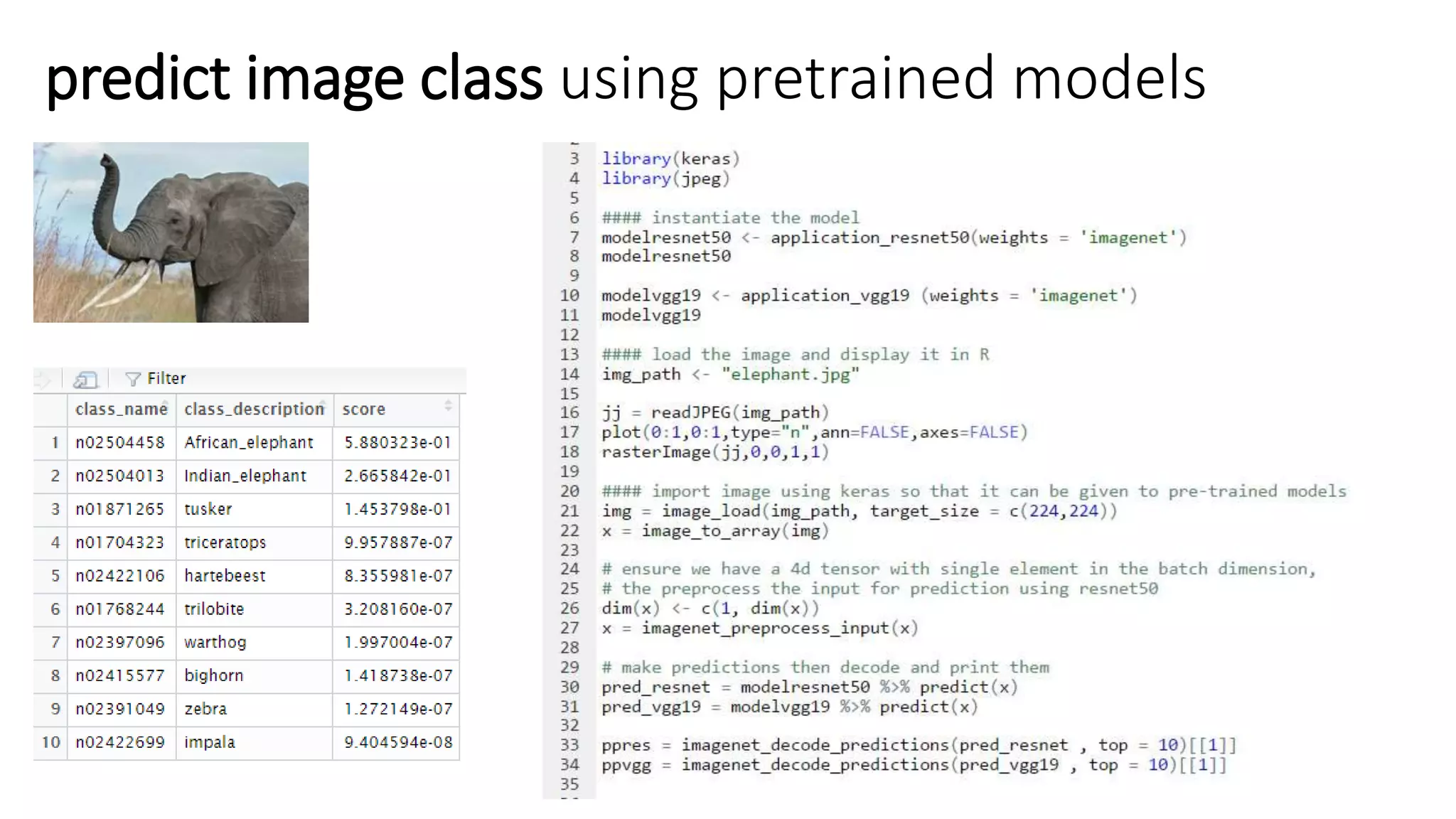 predict image class using pretrained models
 